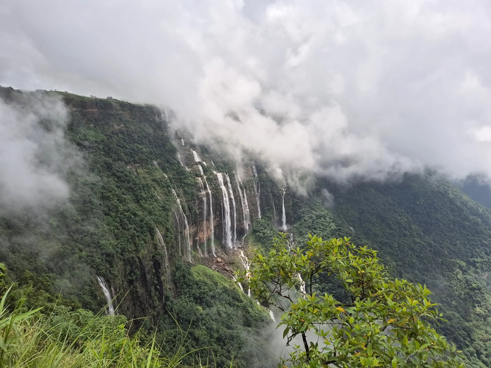 Meghalaya misty valley and living root bridges